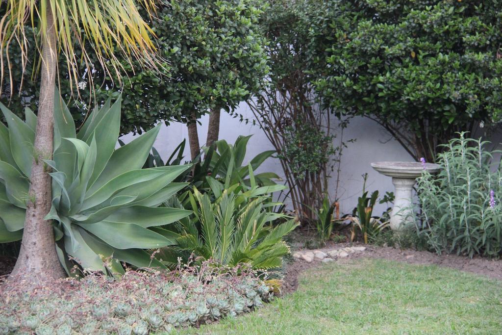 מלון סוולנדאם 33 Berg Selfcatering מראה חיצוני תמונה